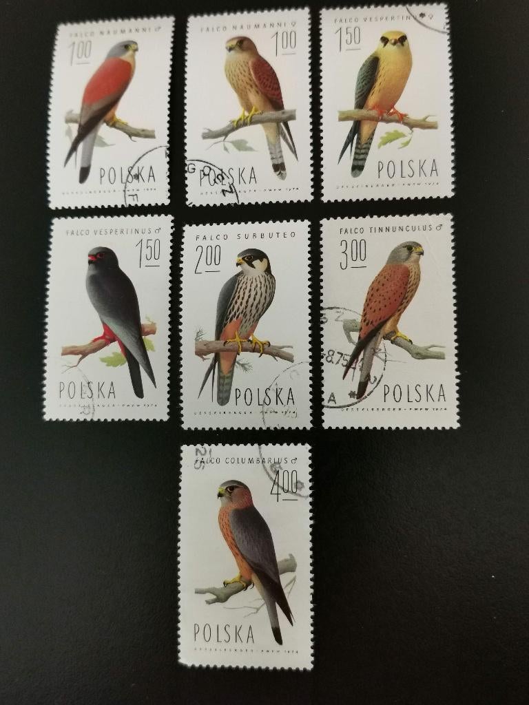 Polen 1975 - vogels - roofvogels, valk, Ophalen of Verzenden, Polen, Gestempeld