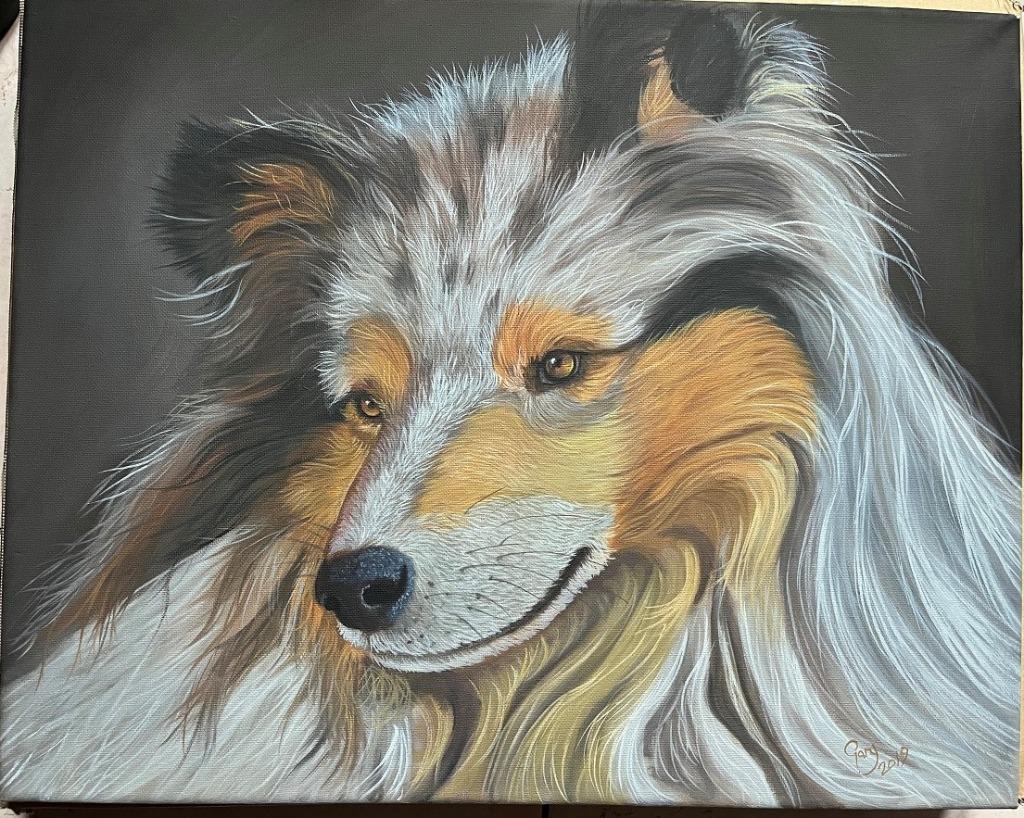 Schilderij Gary Wakeham - Collie Dog 40x50cm, Dieren en Toebehoren, Ophalen of Verzenden, Zo goed als nieuw