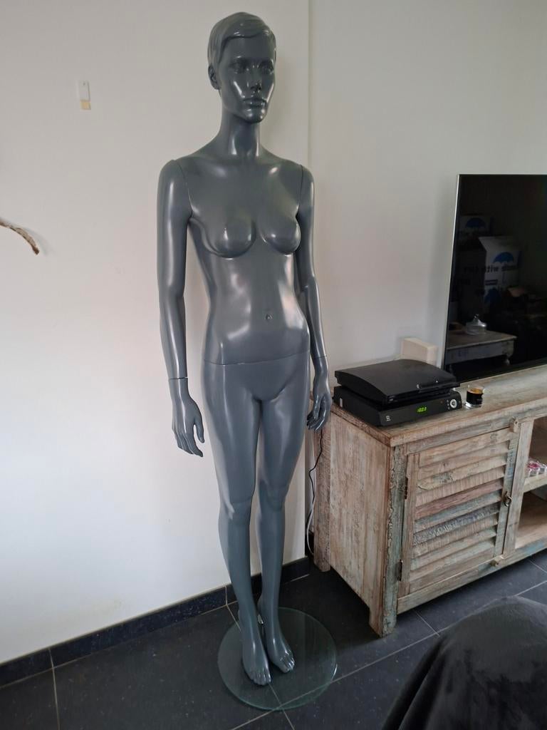 Mannequinpop grijs, Enlèvement