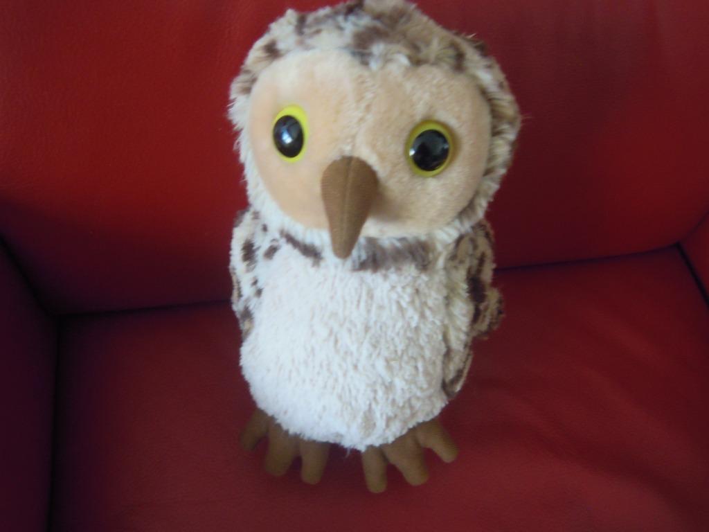 knuffel petjes world  uil (doos 59)), Ophalen of Verzenden, Nieuw