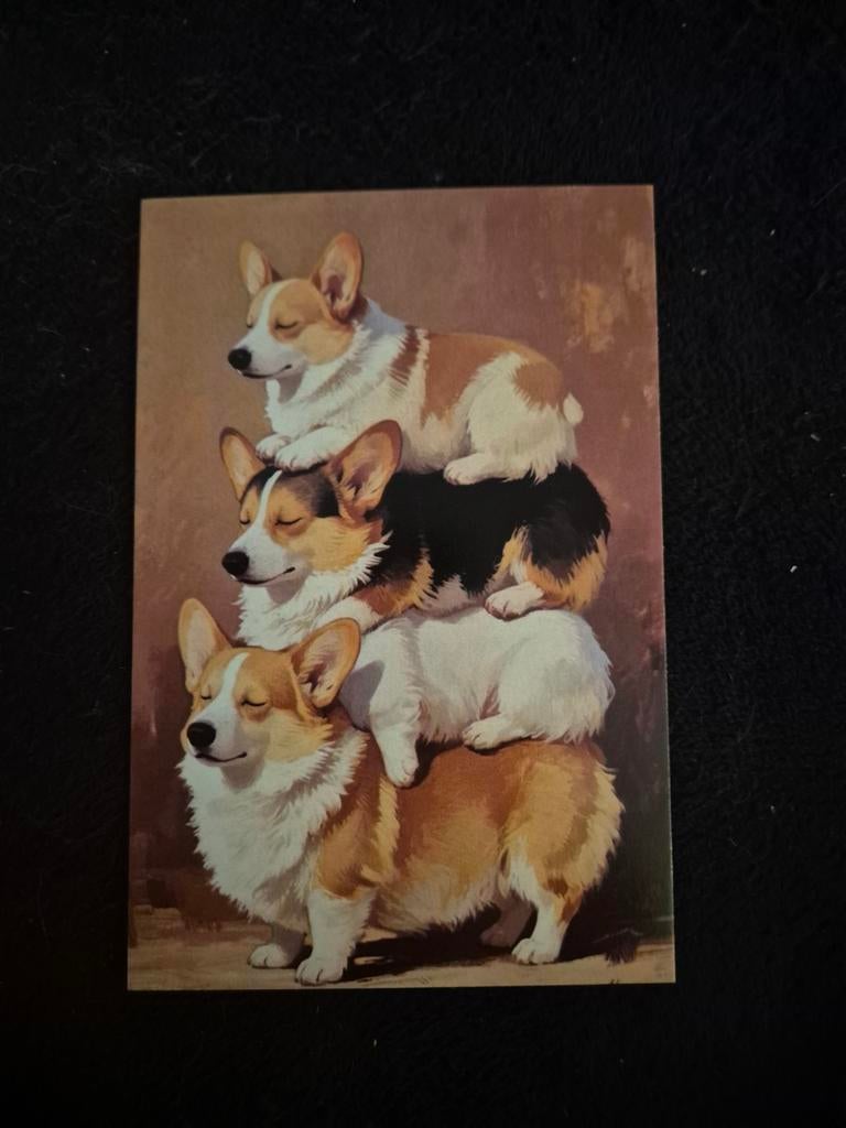 Postkaart corgi, Verzamelen, Postkaarten | Dieren, Ophalen of Verzenden