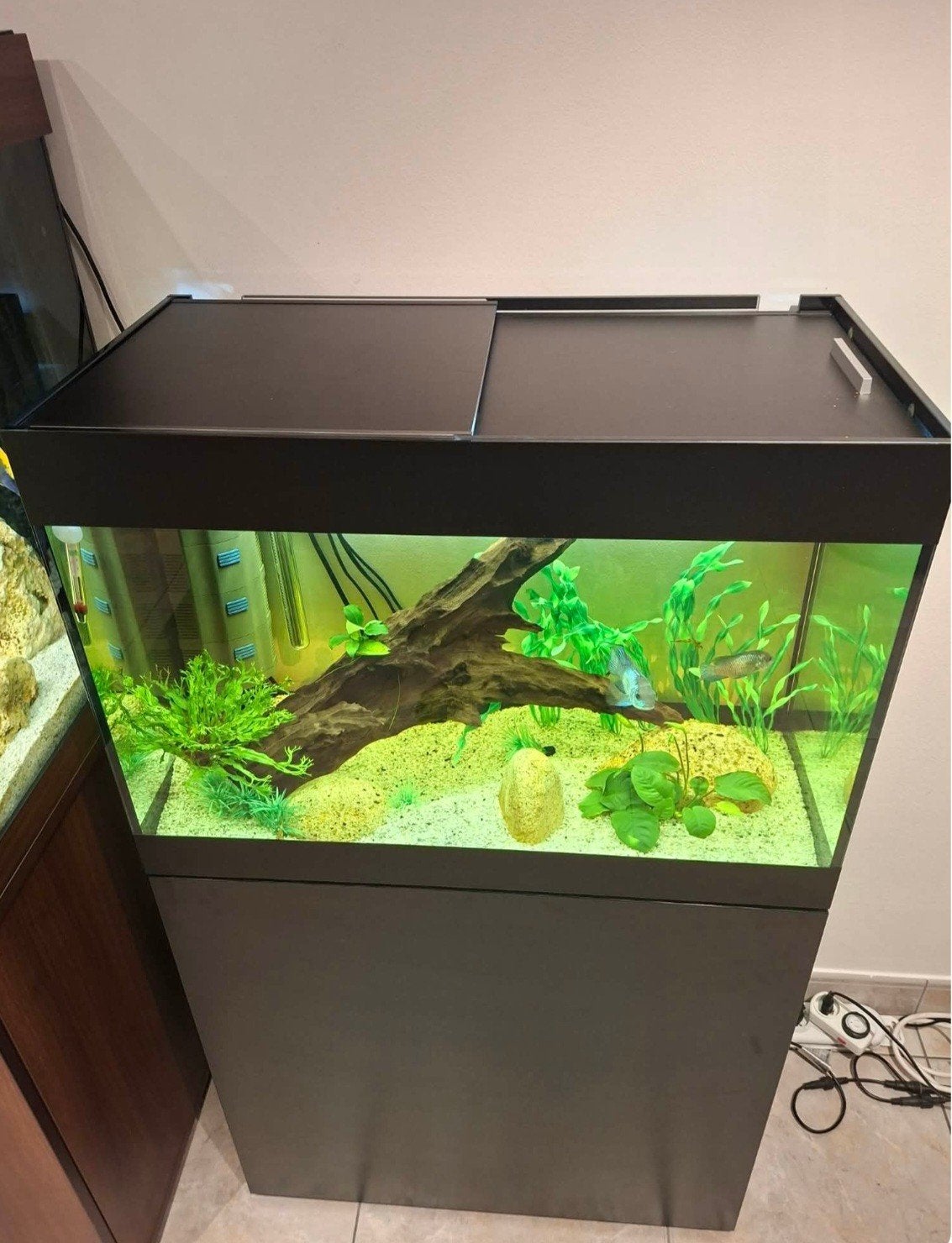 Aquarium, Ophalen, Filter