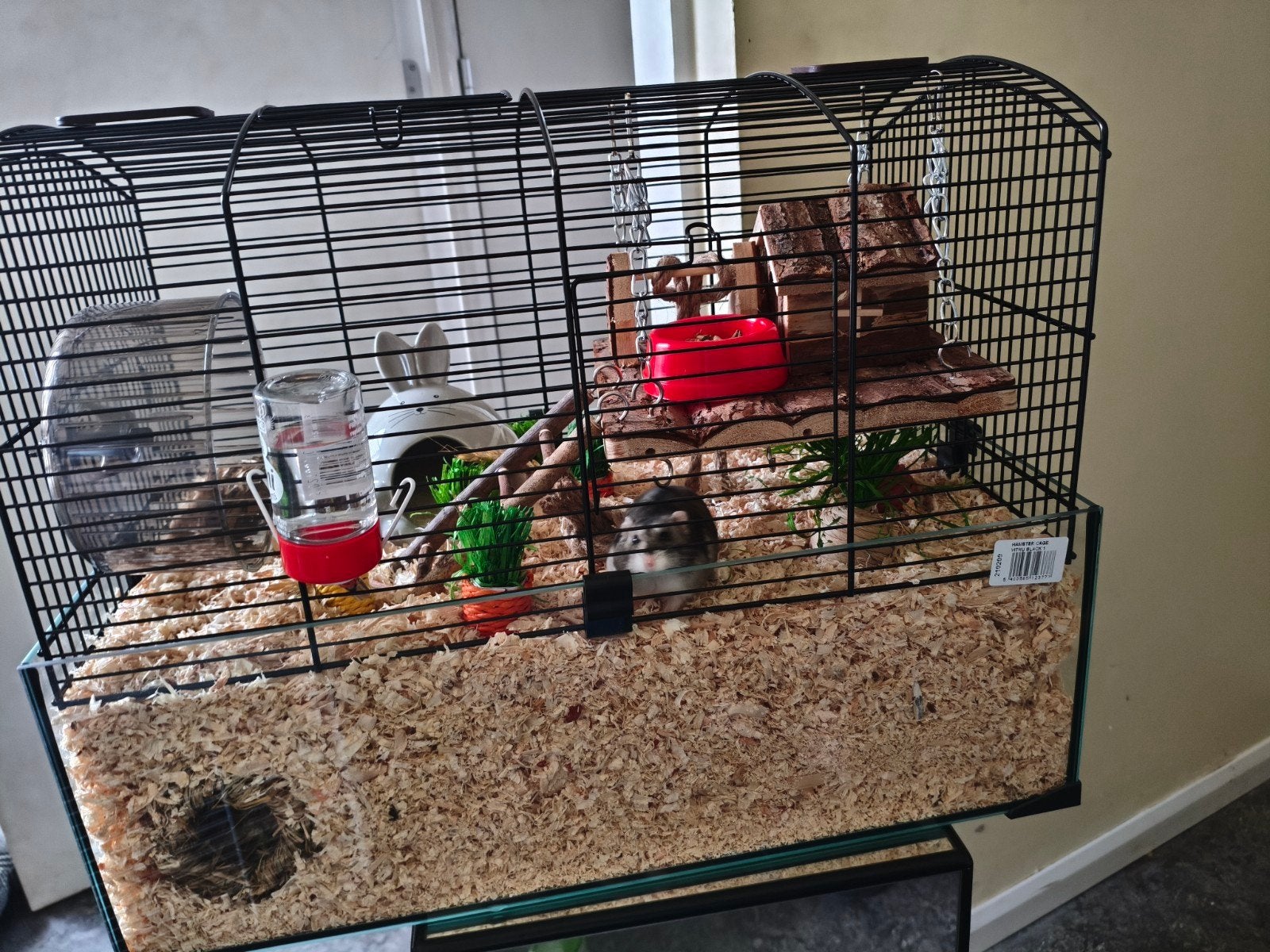 Glazen hamsterkooi + Toebehoren, Kooi, Minder dan 75 cm, Zo goed als nieuw, Hamster