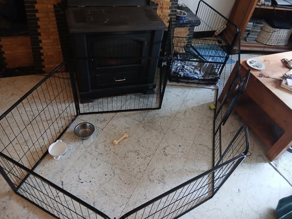 Puppy ren 8 stukken 61 cm hoog 1 paneel 79 cm breed, Ophalen