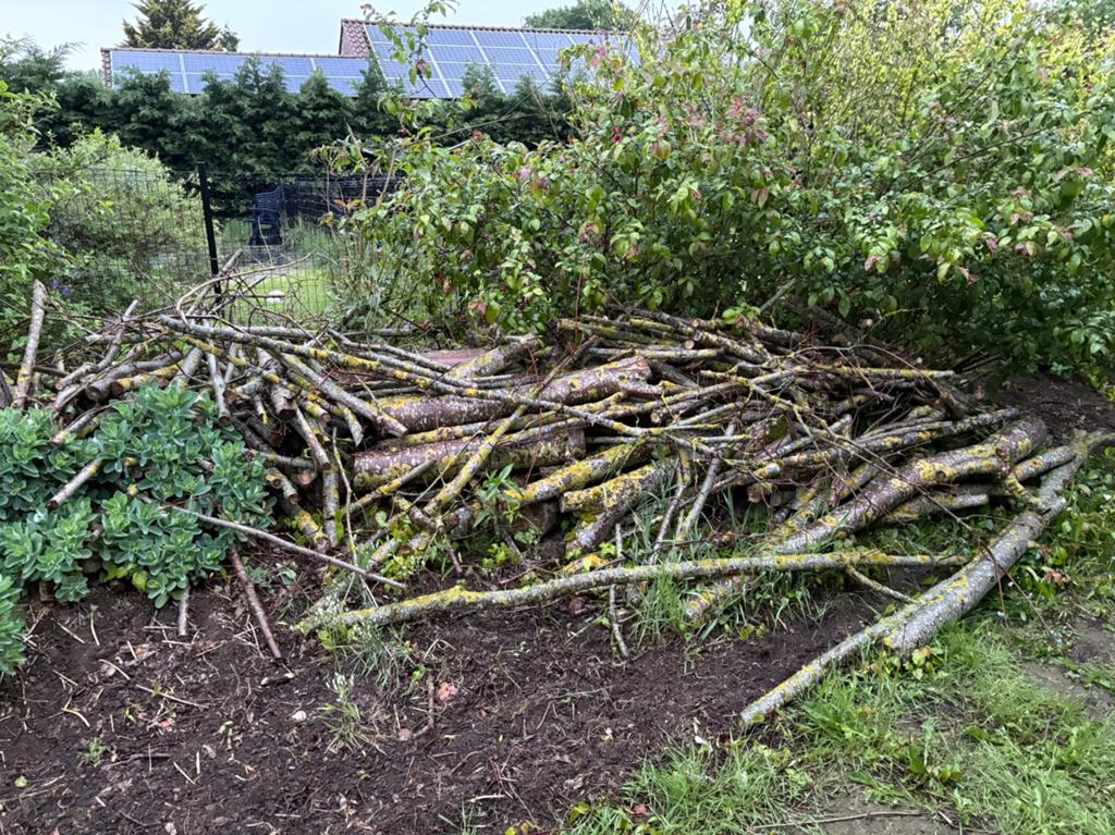 GRATIS brandhout, Minder dan 3 m³, Ophalen, Overige houtsoorten, Takken