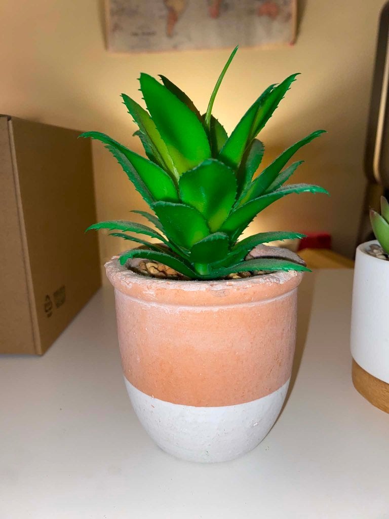 Set van 2 kleine kunstplantjes – Af te halen in Brugge, Ophalen, Binnen, Gebruikt, 15 cm