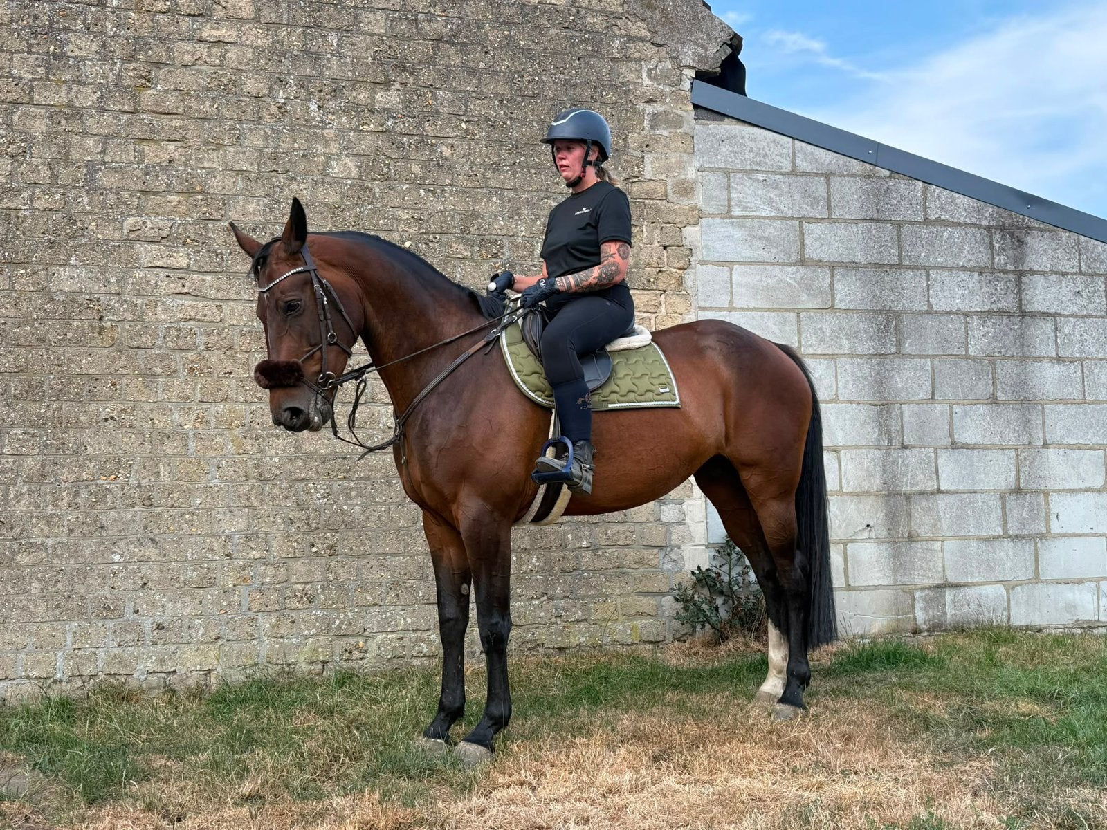 13 jarige Zangersheide merrie, 11 ans ou plus, 165 à 170 cm, Avec pedigree, Cheval de saut