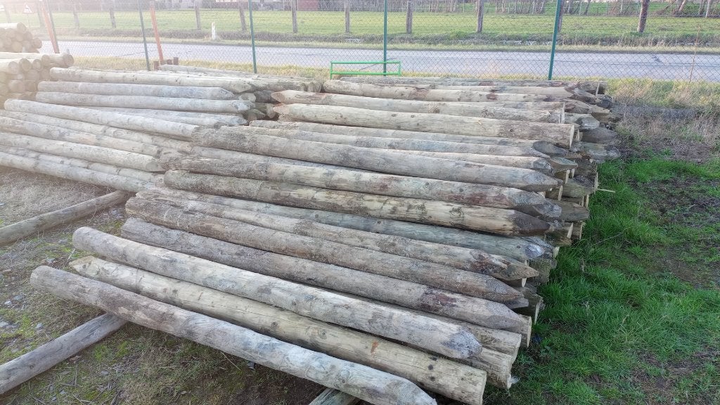 weidepalen, Dieren en Toebehoren, Runderen
