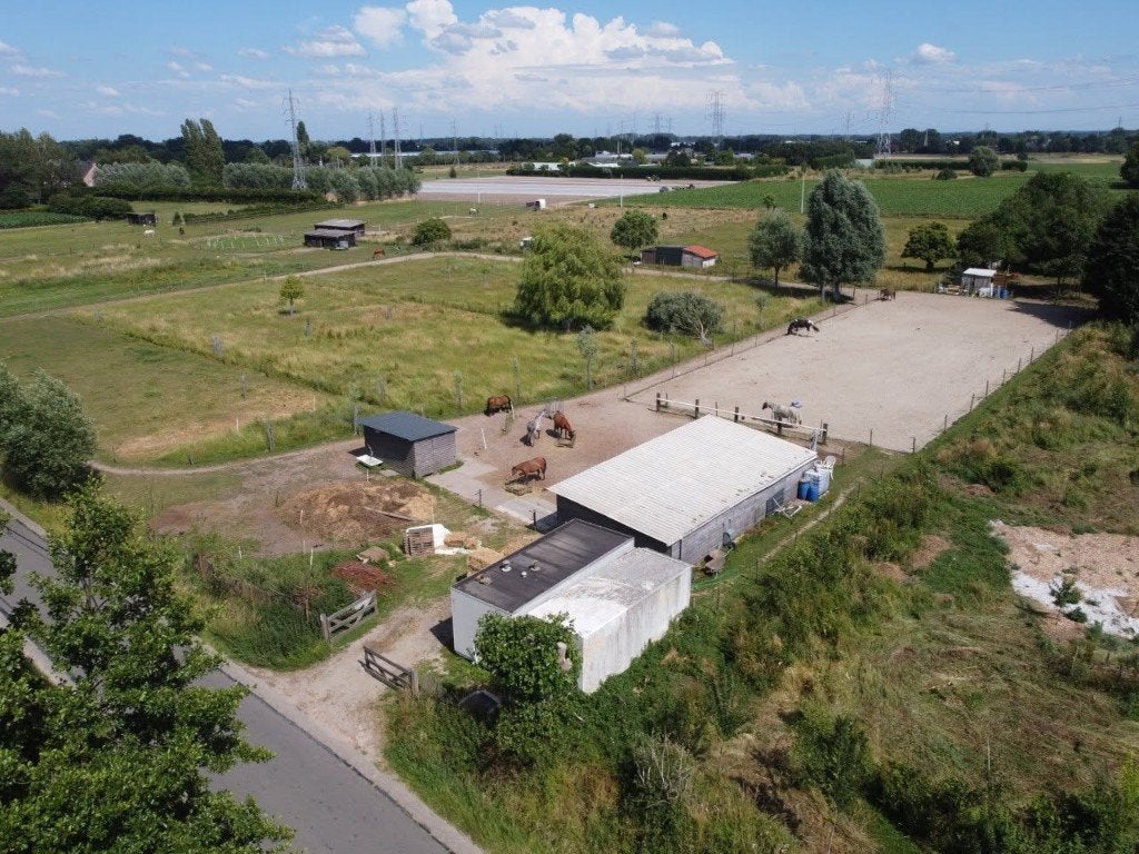 Plaats vrij voor paard/pony in Paddock Paradise in Kontich, Pâturage