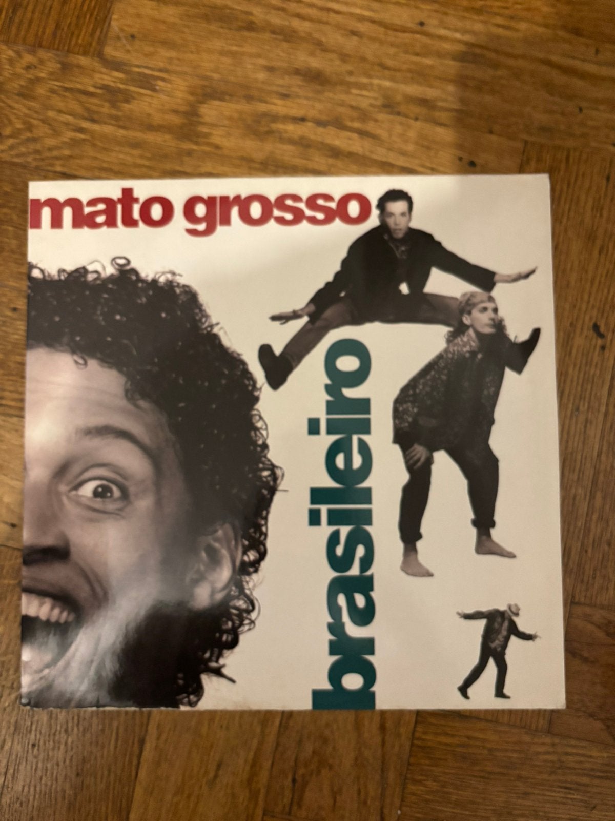 Mato Grosso - Brasileiro, CD & DVD, Vinyles | Jazz & Blues, Enlèvement ou Envoi, Autres genres, Utilisé, LP