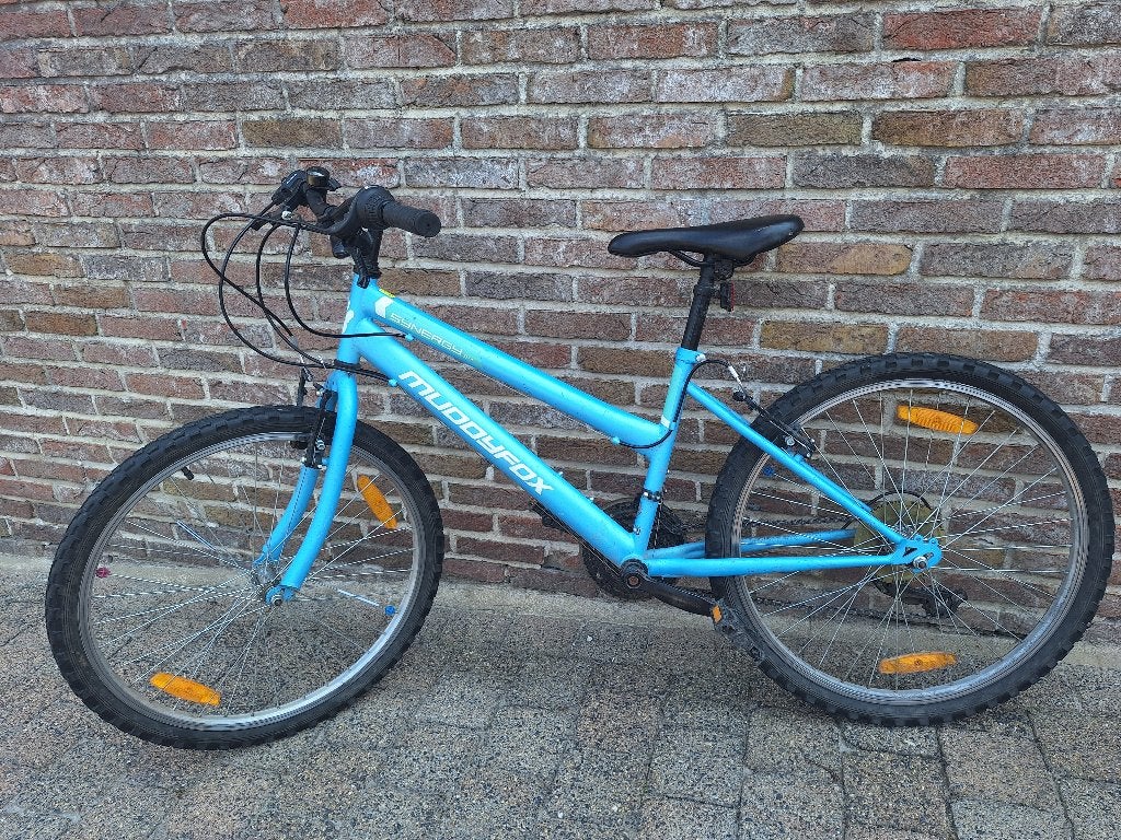 Meisjesfiets, 20 inch of meer, Gebruikt, Velgrem, Ophalen