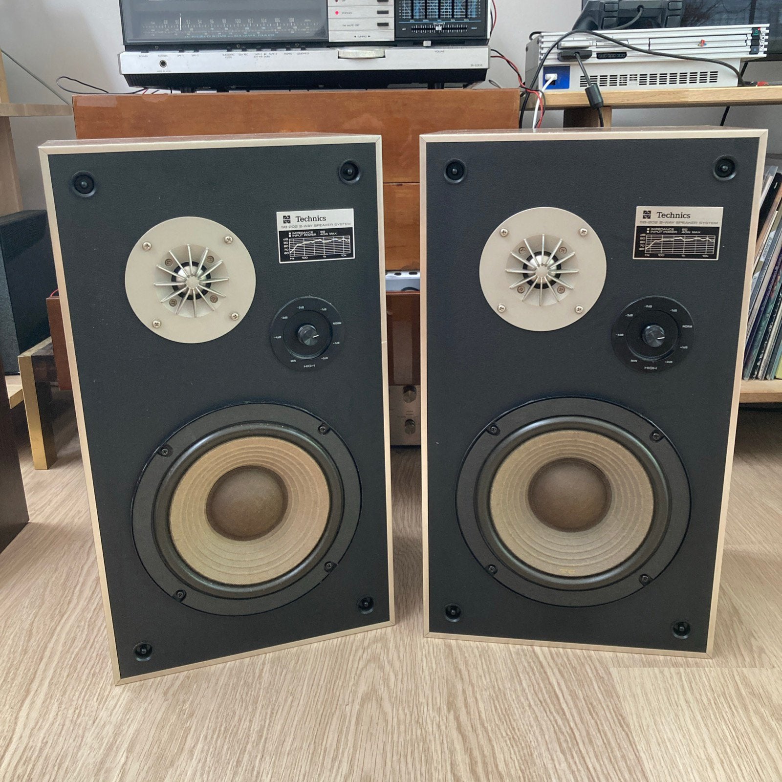 Technics SB-202, Audio, Tv en Foto, Luidsprekerboxen, Ophalen, Zo goed als nieuw