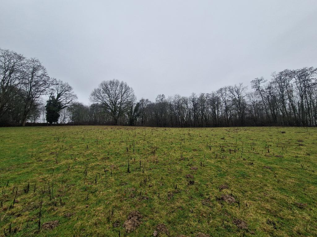 5000 m² paardenweide met stallen te huur in Herent, Dieren en Toebehoren, Stalling, 2 of 3 paarden of pony's