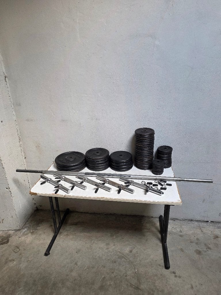 Halter stang - bench bar - Halters met 137 kg gewichten, Enlèvement, Utilisé, Bras, Plaques d'haltères
