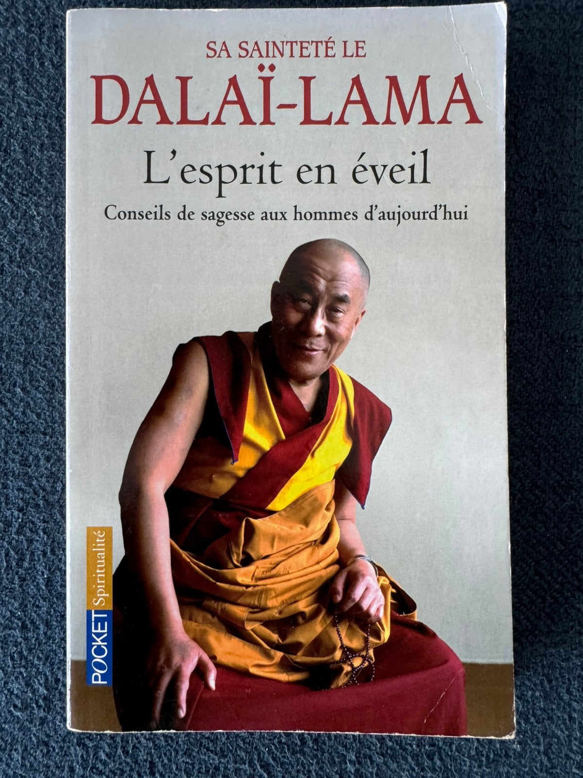 De wakkere geest — Dalai Lama (Pocket Spirituality), Ophalen, Zo goed als nieuw