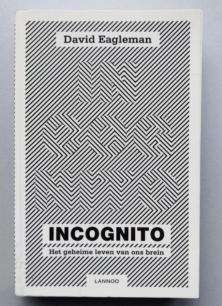 Incognito Het geheime leven van ons brein, Livres, Psychologie, Enlèvement ou Envoi, Comme neuf, Psychologie cognitive