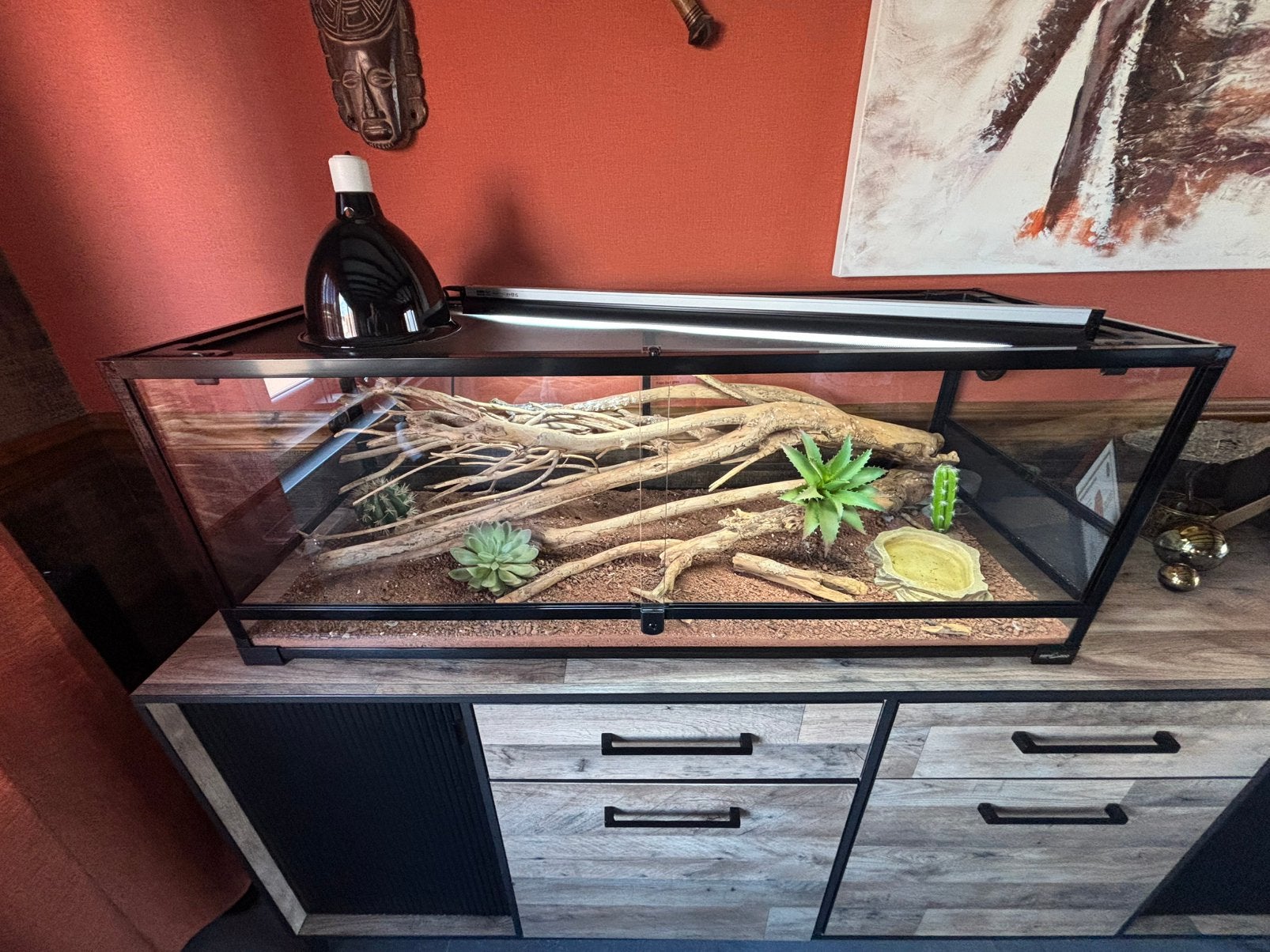 Terrarium 120x45x45, Enlèvement, Comme neuf, Terrarium ou Paludarium