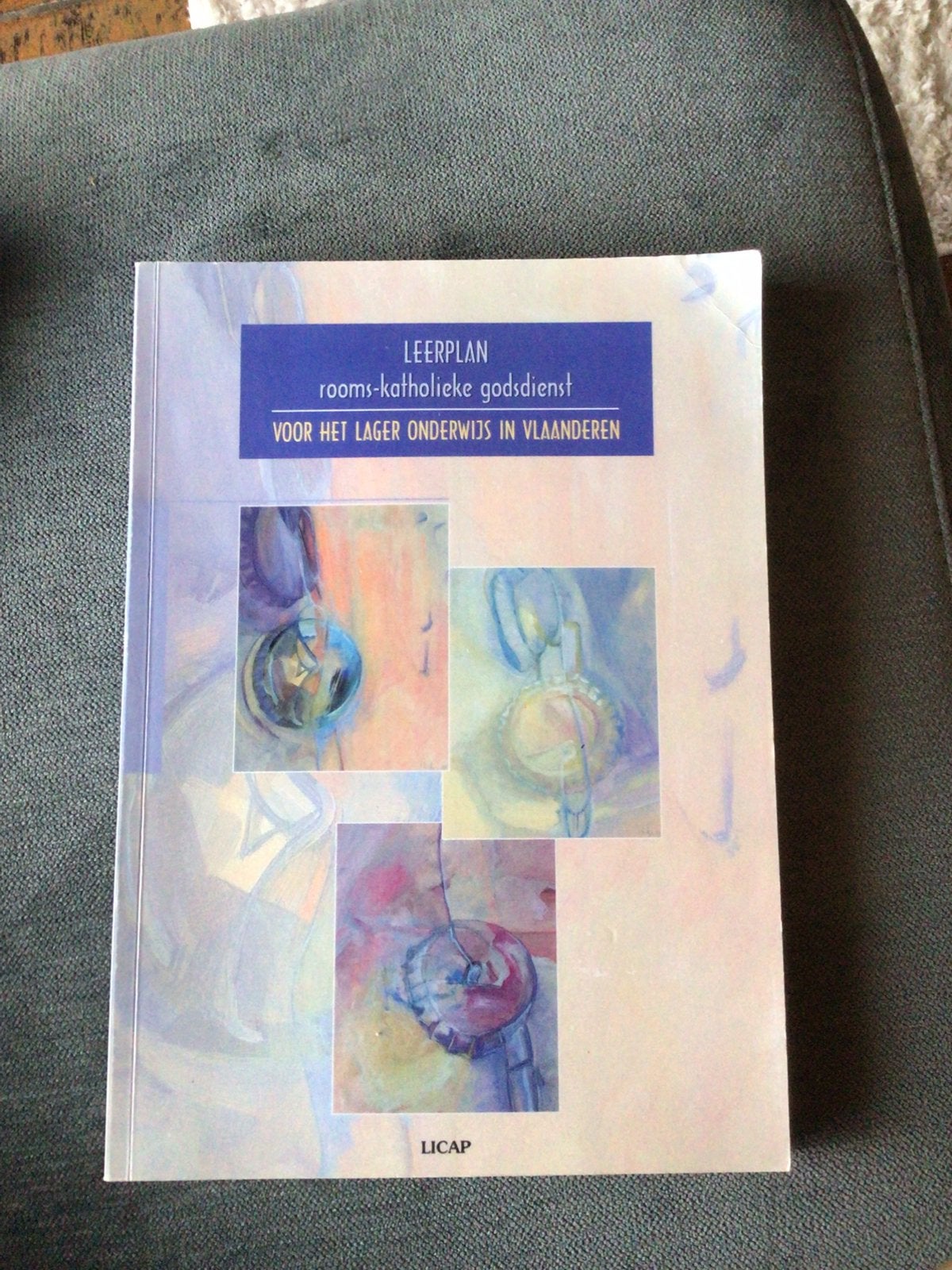 Leerplan rooms-katholieke godsdienst voor het lager onderwij, Ophalen of Verzenden