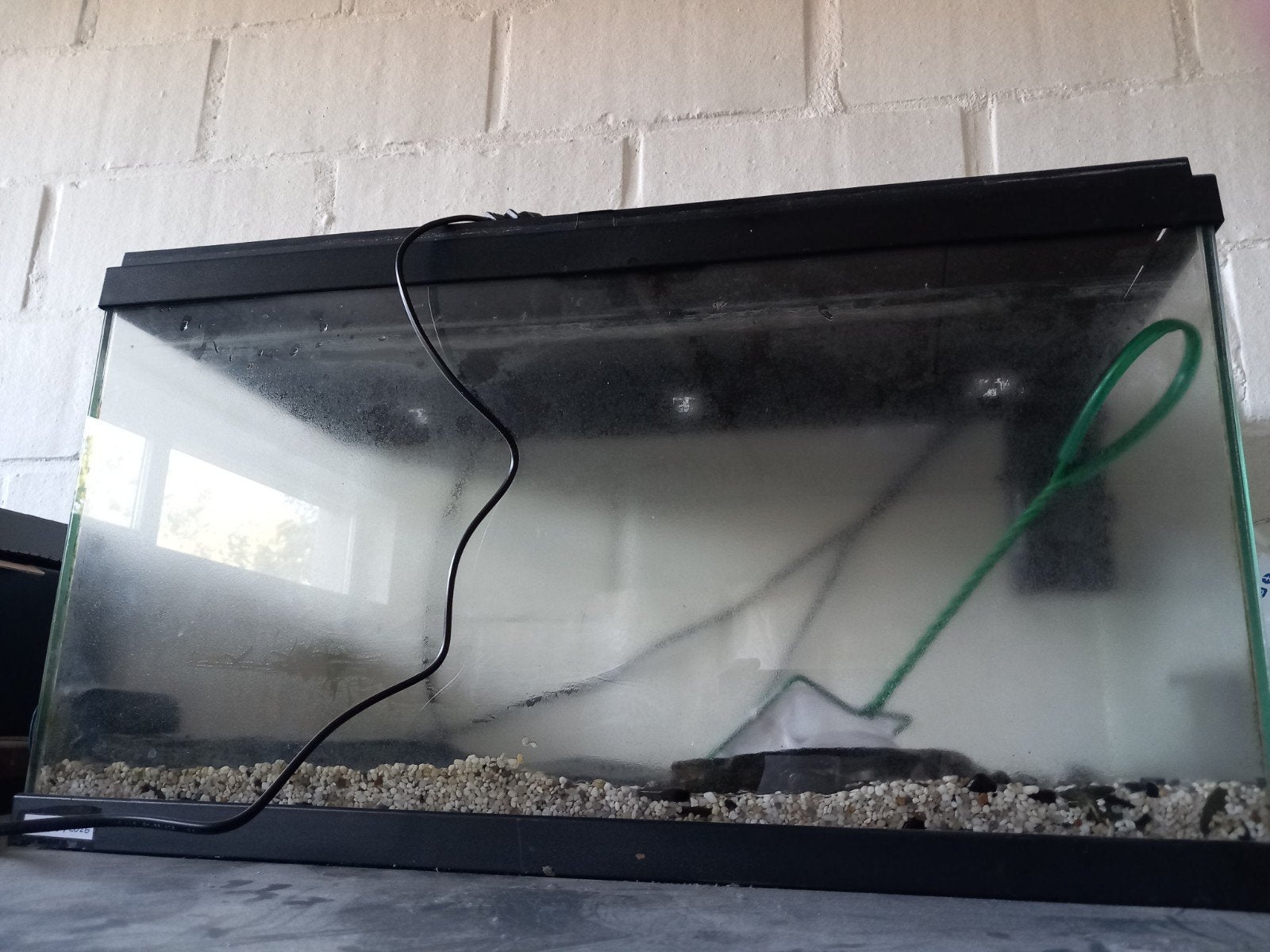 Aquaruim 60 cm, Enlèvement
