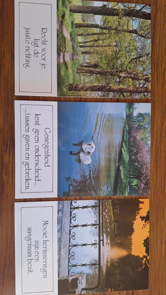 Set van 3 kaarten met spreuken, Ophalen of Verzenden, 1960 tot 1980, Ongelopen, Overige thema's
