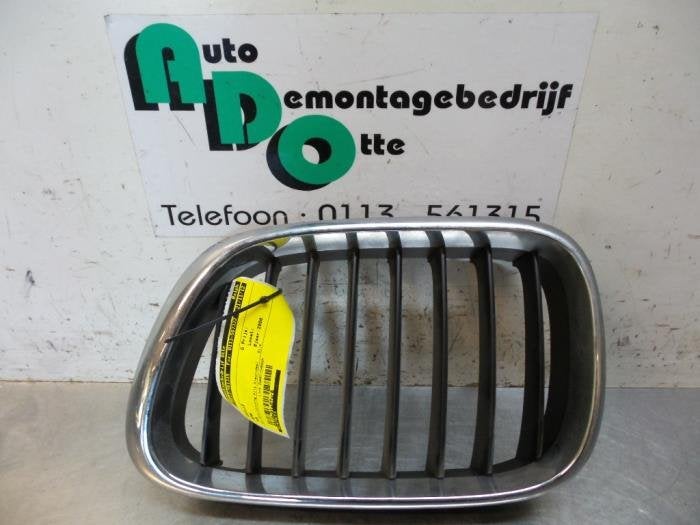 Grille van een BMW X5, Gebruikt, -, -, Ophalen of Verzenden