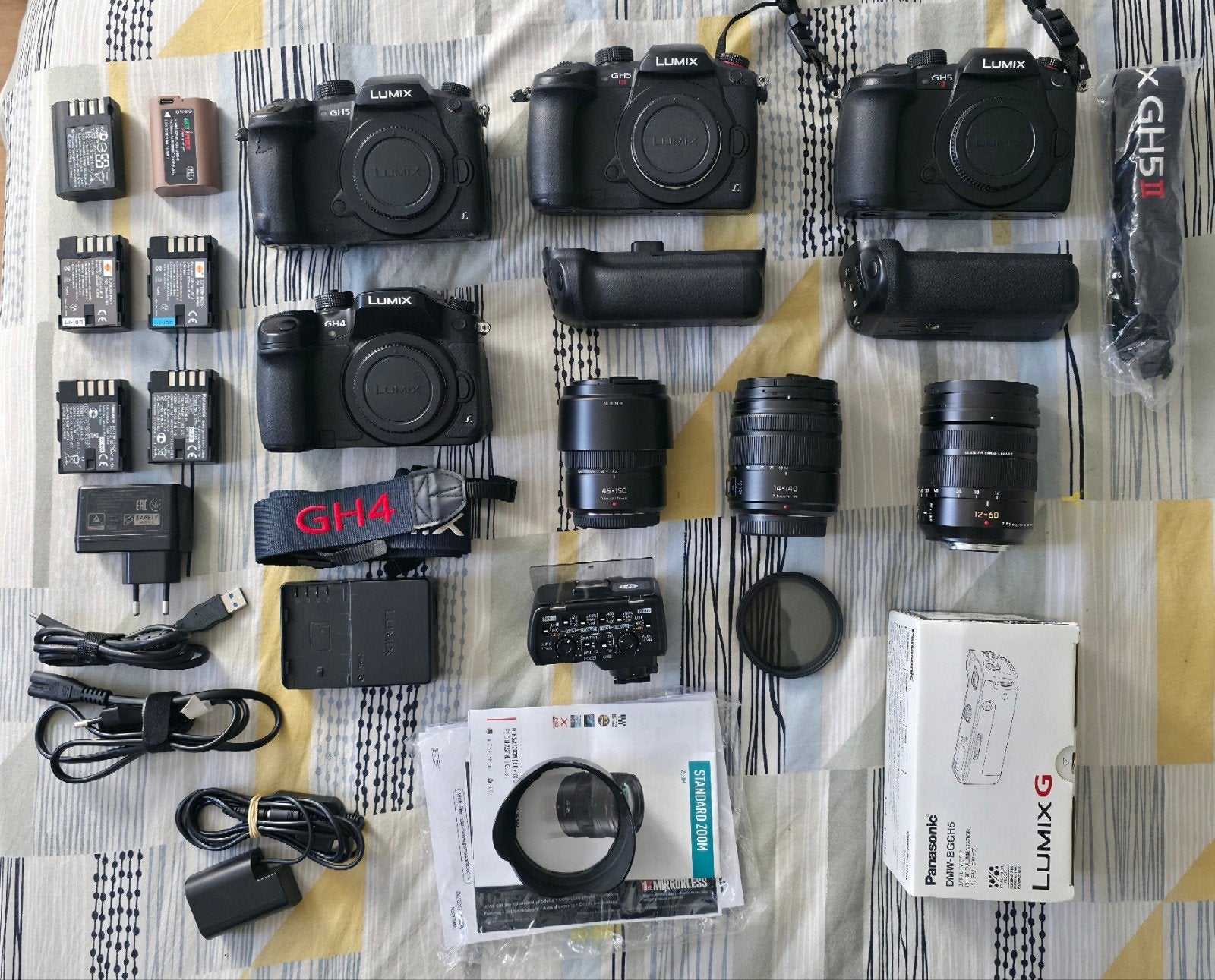 Lumix GH5II, GH5S, GH5, GH4 + 3 objectifs + XLR, Enlèvement, Panasonic