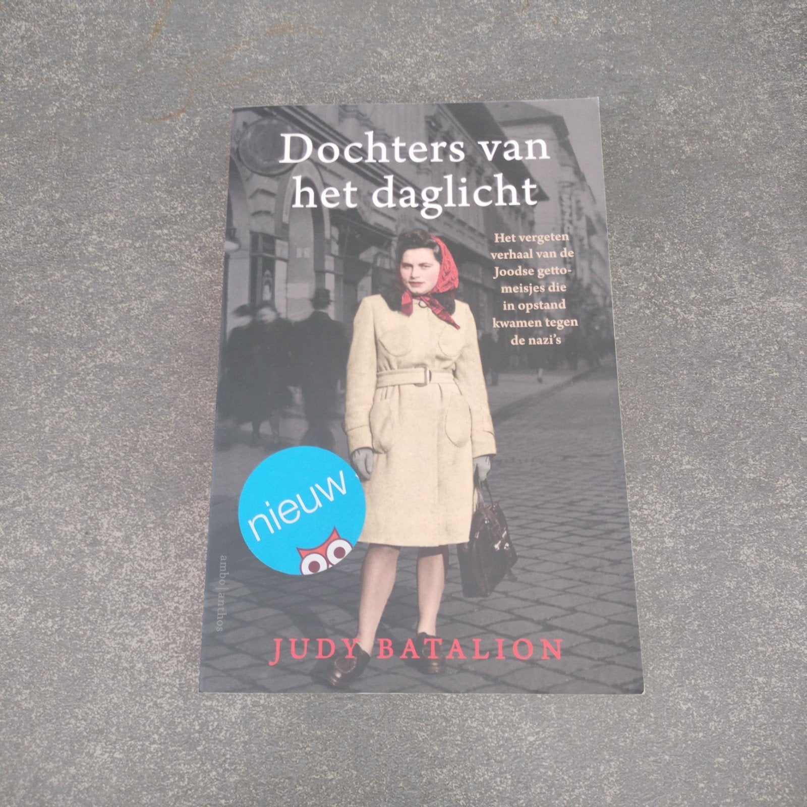 dochters van het daglicht, Boeken, Ophalen of Verzenden, Zo goed als nieuw, Julie Batalion