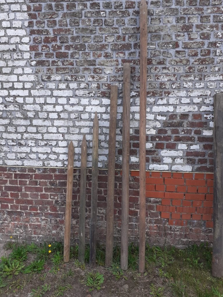 Tuinpalen 11 stuk., Moins de 180 cm, Poteaux, Bois dur, Comme neuf