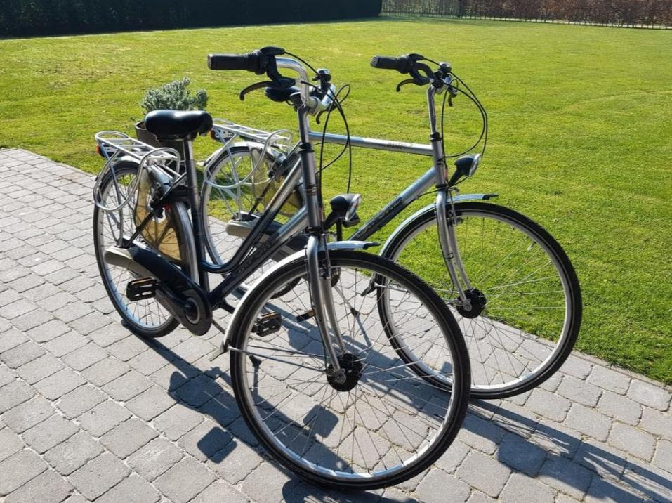 Fietsen: Oxford (prijs voor de twee!) - regio Brecht, Fietsen en Brommers, Fietsen | Dames | Damesfietsen, Ophalen, Versnellingen