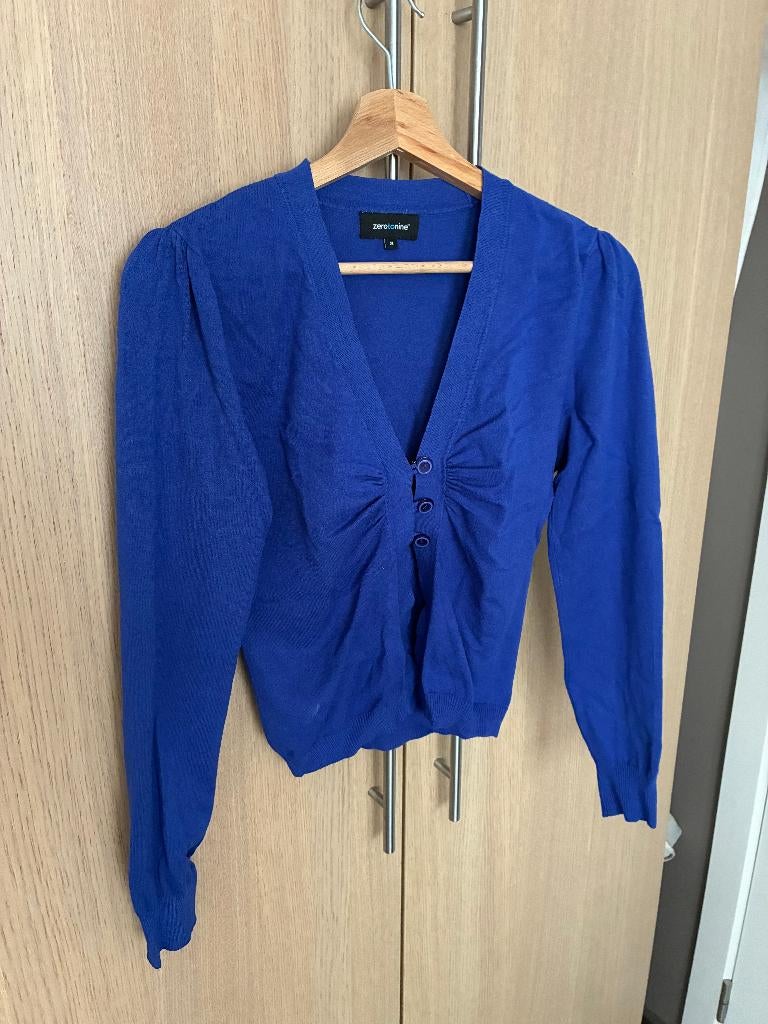 Zerotonine blauw zwangerschapsgolfje/vestje (maat 2), Kleding | Dames, Ophalen, Blauw, Trui of Vest, Zo goed als nieuw