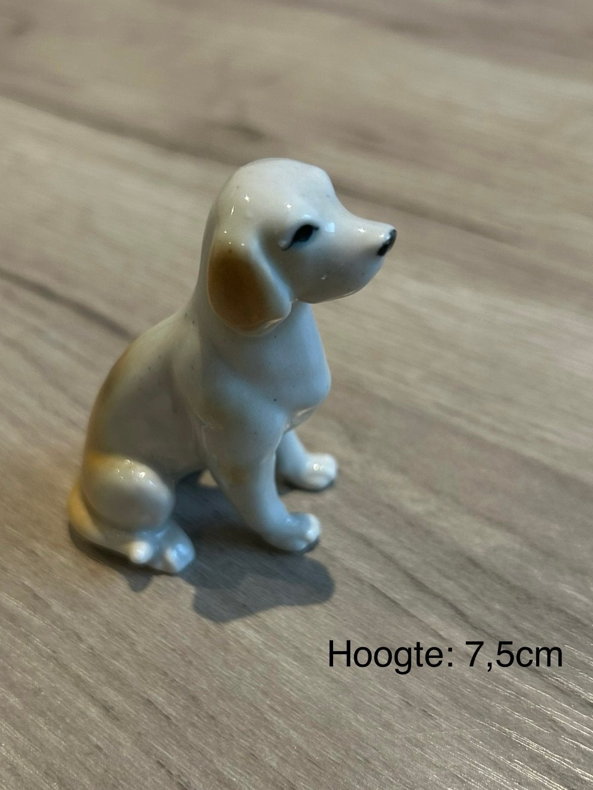 Beeldje zittend hondje, Ophalen of Verzenden, Zo goed als nieuw, Hond of Kat, Beeldje of Figuurtje