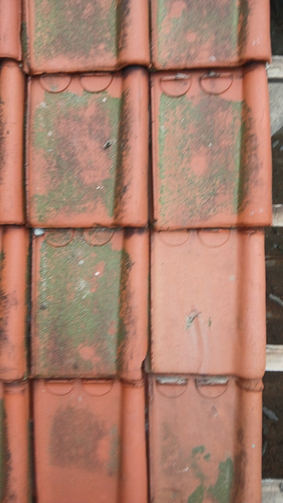 Dakpannen sterreberg, Doe-het-zelf en Bouw, Dakpannen en Dakbedekking, Ophalen, Dakpannen