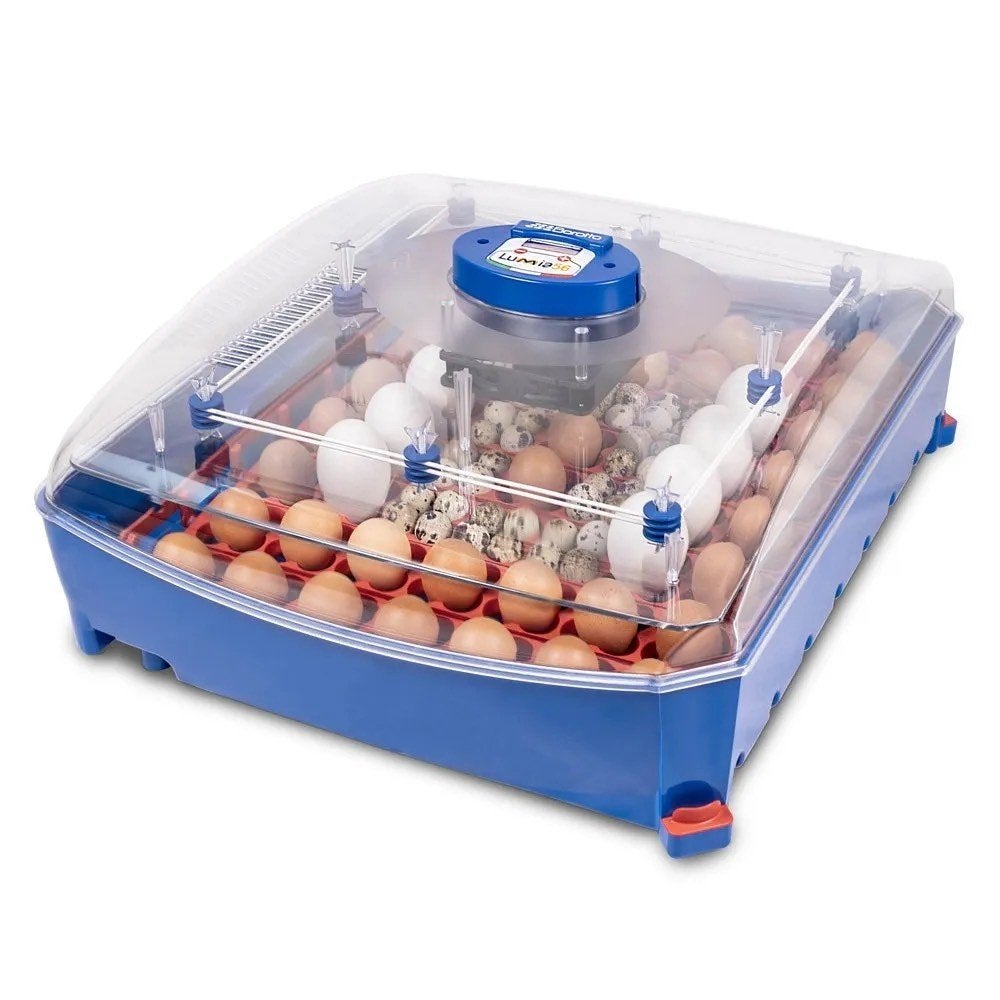 Borotto Lumia 56 Automatische Broedmachine | 56 Eieren, Dieren en Toebehoren, Verzenden, Nieuw, Broedmachine