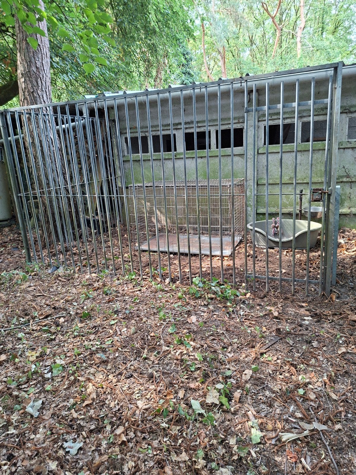 hondenren+hondenbench+mand, Dieren en Toebehoren, Ophalen, Gebruikt, Hondenren