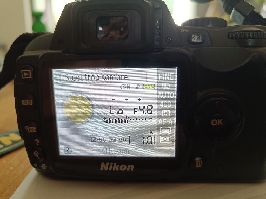 NIKON D40, Enlèvement