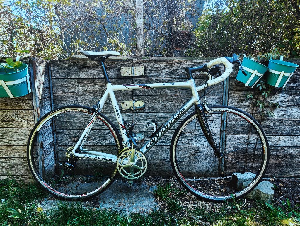 cannondale caad Maat: L, Fietsen en Brommers, Gebruikt, Aluminium, Overige maten, 15 tot 20 versnellingen