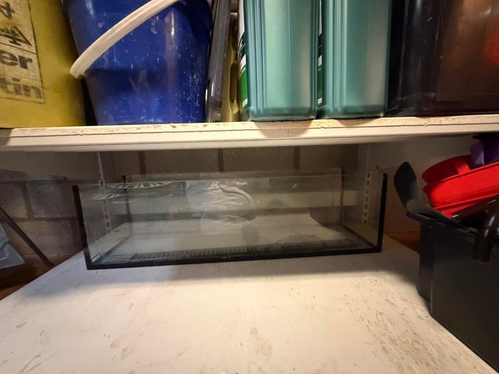 Aquarium avec lampe avec minuterie, Enlèvement, Accessoires inclus, Utilisé, Aquarium vide