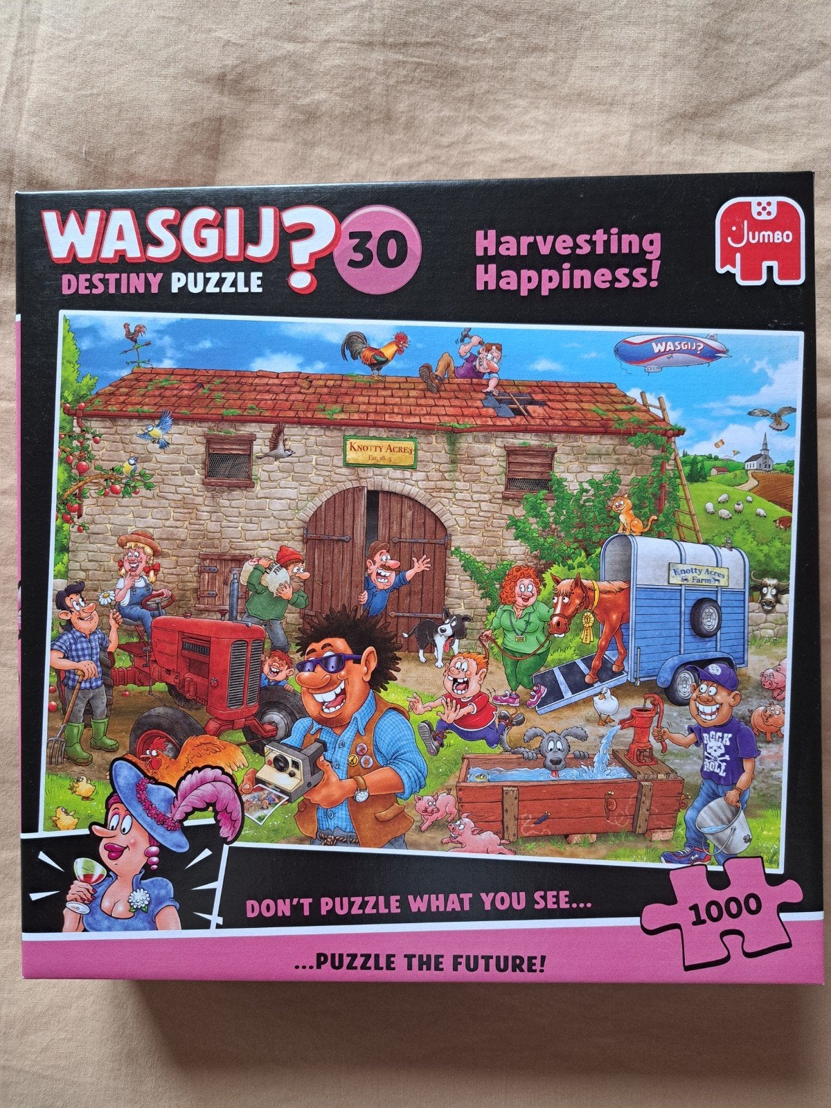 Wasgij puzzel 1000 stukjes, Ophalen