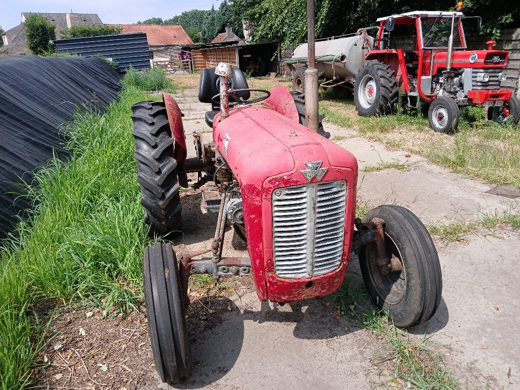 Massey Ferguson MF 35, Ophalen, Oldtimer, Tot 80 Pk, 7500 tot 10000