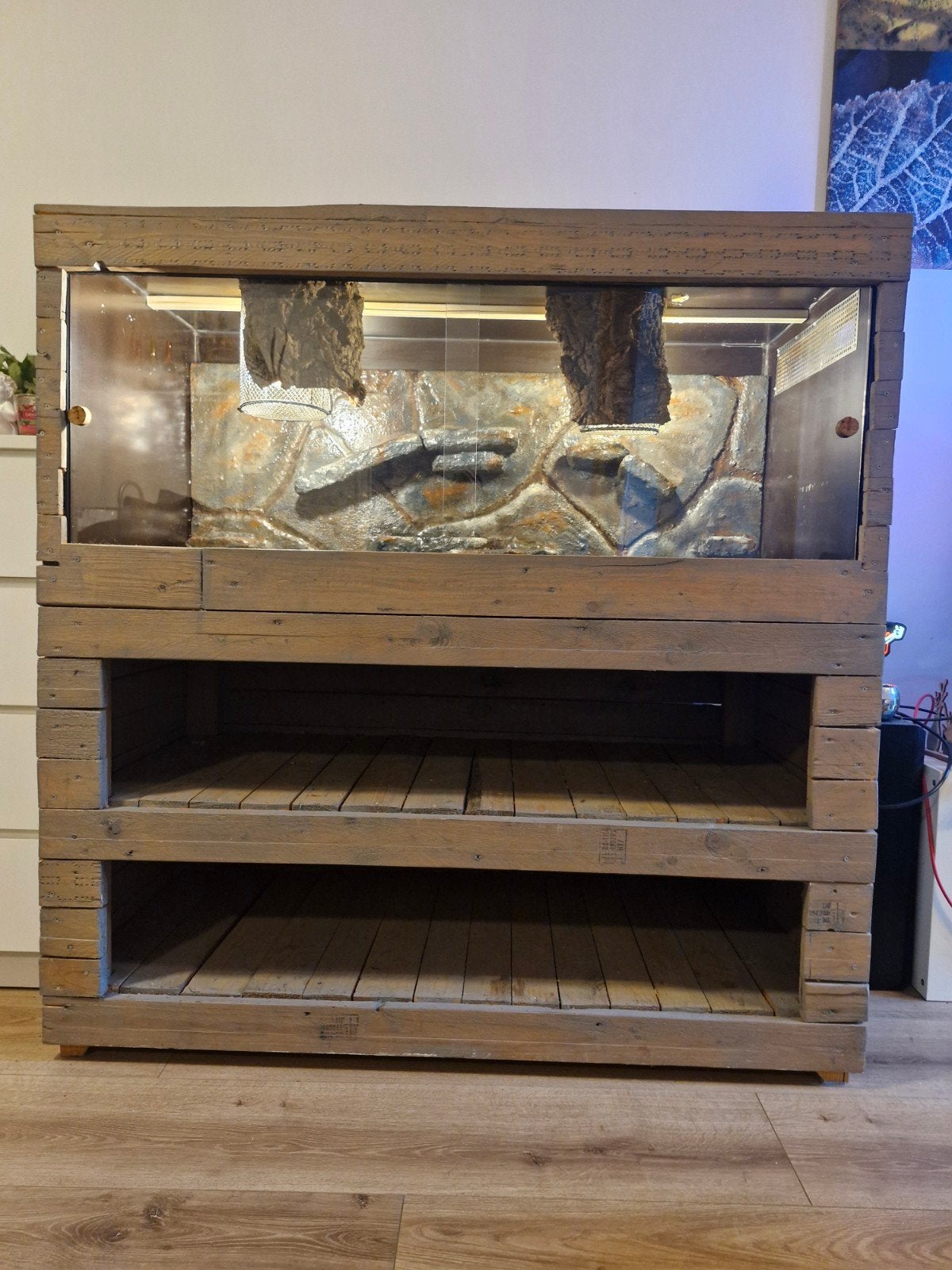 XXL custom terrarium, Dieren en Toebehoren, Reptielen en Amfibieën, Slang