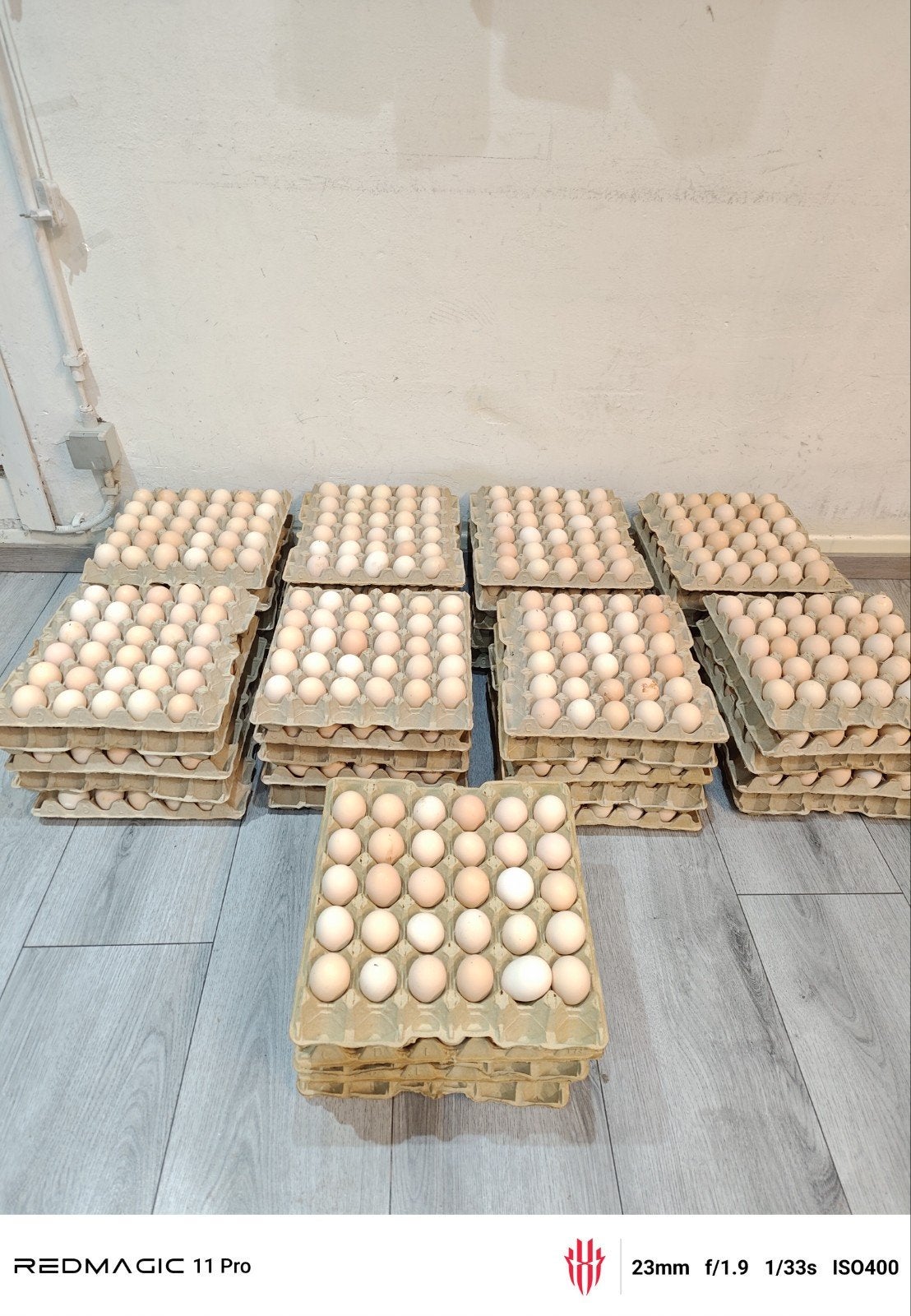 Bio eieren 30 stuks per pak!, Ophalen of Verzenden