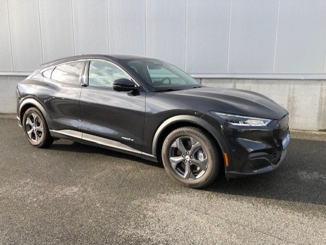Ford Mustang Mach-E RWD (bj 2023, automaat), Auto's, Automaat, 269 pk, Gebruikt, Zwart