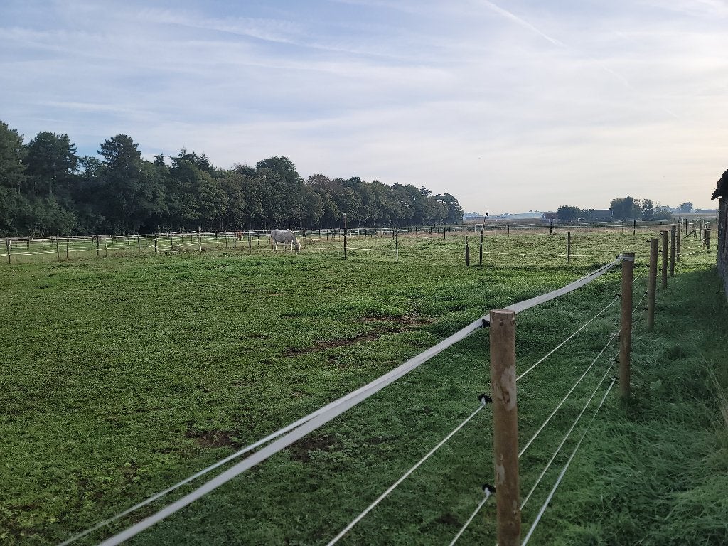 paarde weide te huur, Stalling