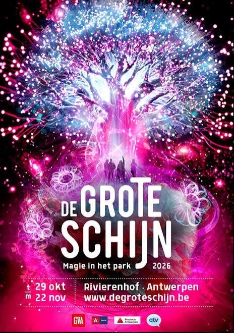2 tickets De Grote Schijn 29/10, Tickets en Kaartjes, Twee personen