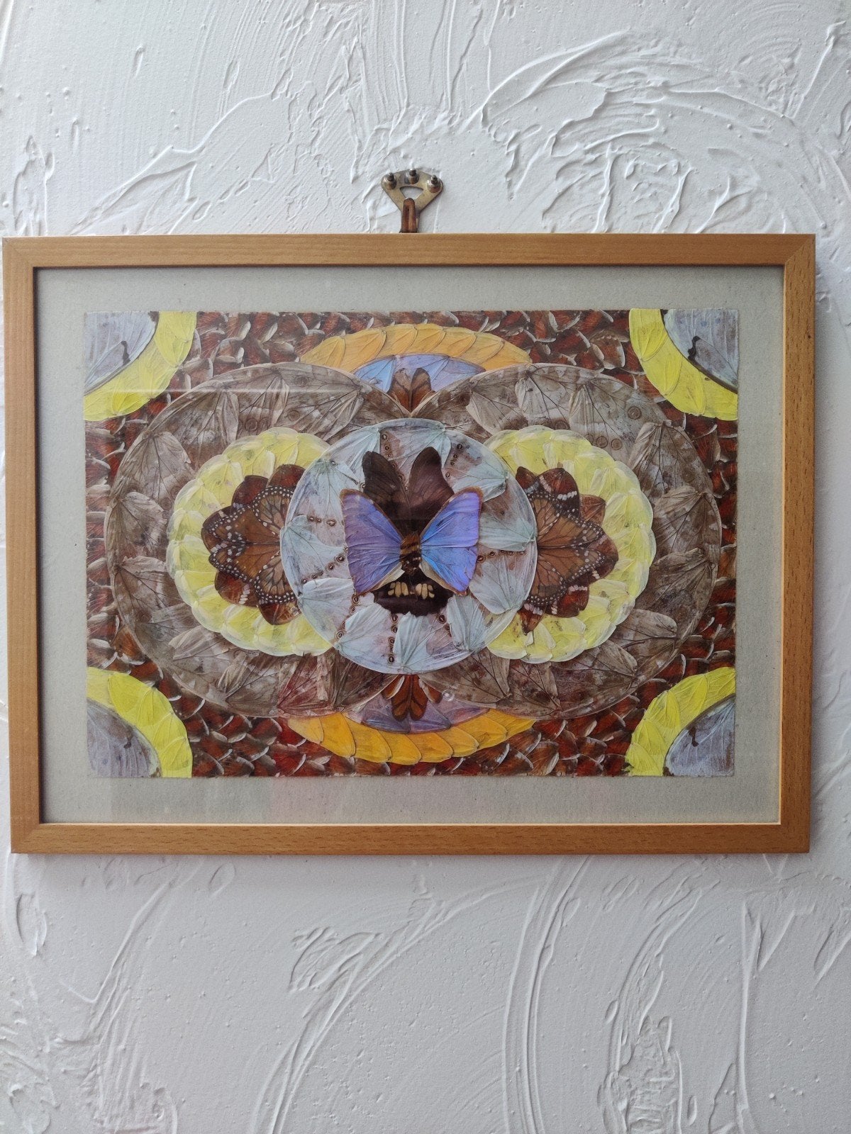 Schilderij opgezette vlindervleugels, Ophalen