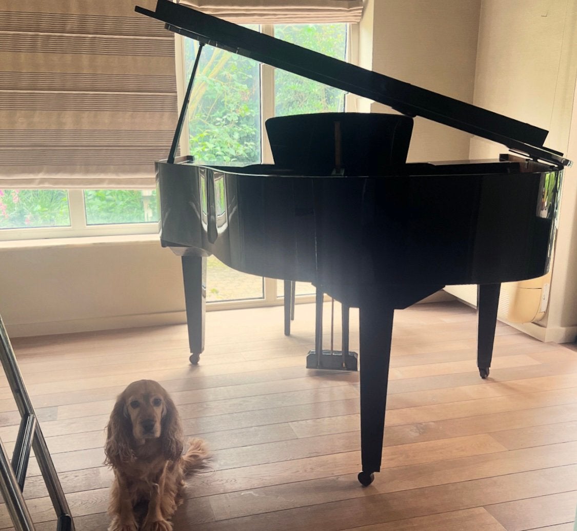Vleugelpiano, Musique & Instruments, Pianos, Brillant, Comme neuf, Enlèvement, À queue