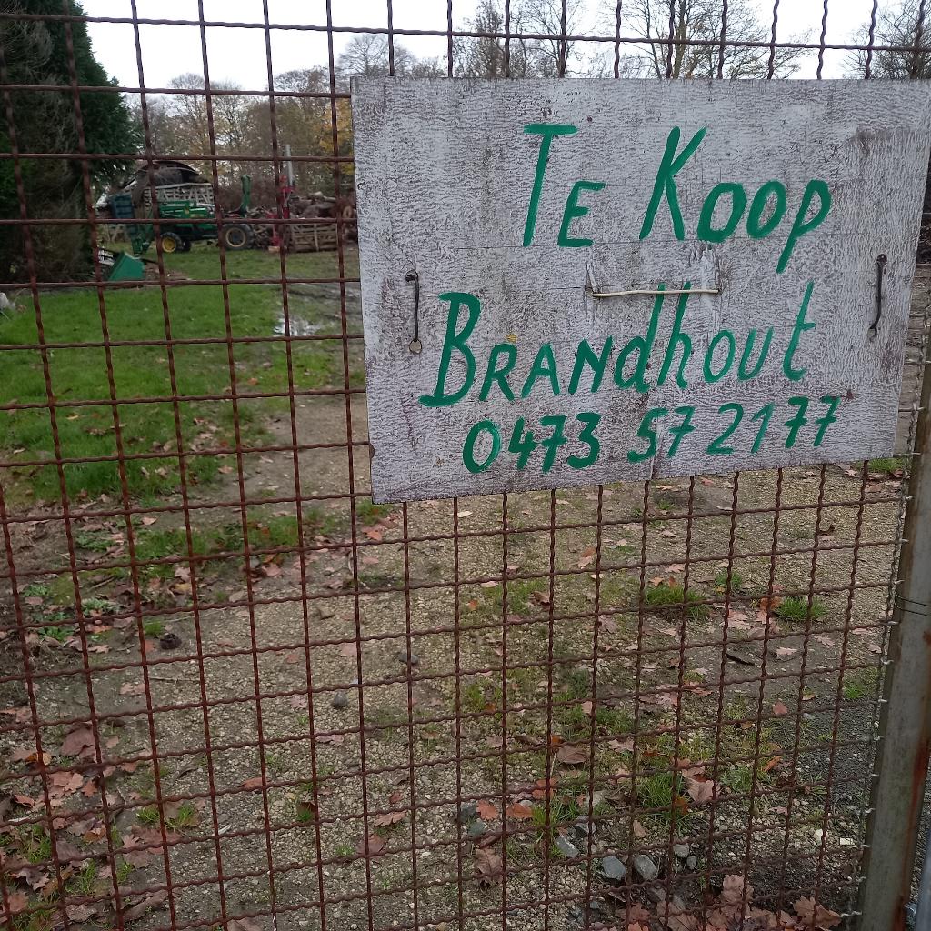 Buches mélange  hêtre chêne fruitier le stère livré 100€, Minder dan 3 m³, Ophalen of Verzenden, Beukenhout, Blokken