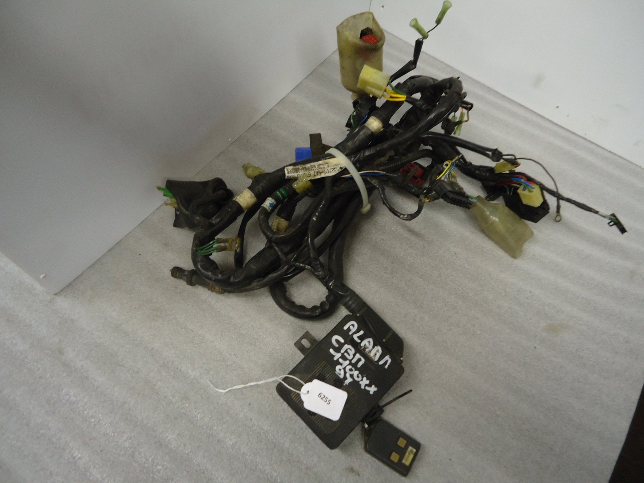 CBR1100XX 1999 - 2006, 1996 - 1998 Honda Kabelboom D1-16739