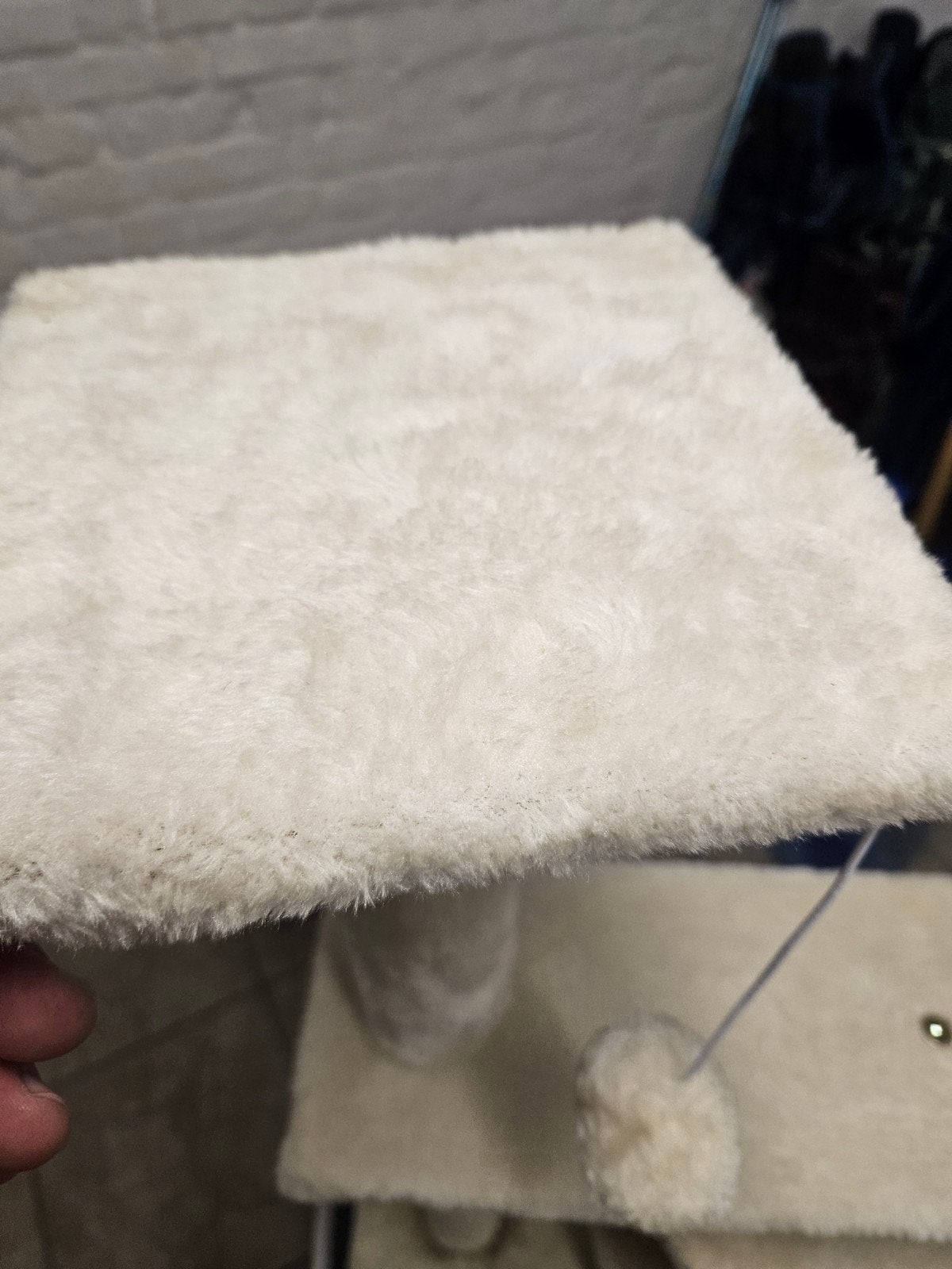nieuw, Dieren en Toebehoren, Ophalen, Nieuw