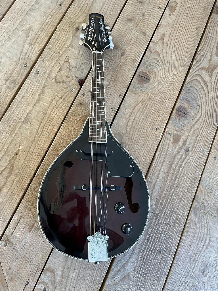 Mandoline Stagg 8 cordes electro-acoustique, Musique & Instruments, Instruments à corde | Mandolines, Enlèvement, Utilisé